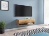 Meuble TV Sarasota 117 (Chêne wotan)