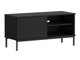 TV-meubel Lomsore 100 (Zwart)