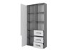 Boekenkast Aviseve 105 (Antraciet + Wit)