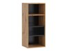 Wandplank Baltesi 112 (Artisan eiken + Zwart)