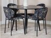 Stoel Dallas 167 (Bloemen patroon)