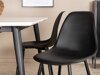 Eetkamerset Dallas 2732