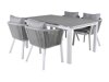 Lauko stalas Dallas 665 (Pilka + Balta)