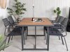 Tafel en stoelen set Dallas 2931