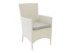 Lauko fotelis Dallas 739 (Balta + Pilka)