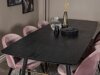 Eetkamerset Dallas 1449 (Roze + Zwart)