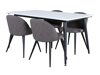 Eetkamerset Dallas 2738