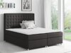 Boxspring Panis (Bristol 2458)