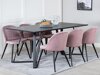 Eetkamerset Dallas 360 (Roze + Zwart)