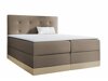 Kontinentālā gulta Villa (Kameleon 04 + Kameleon 15)