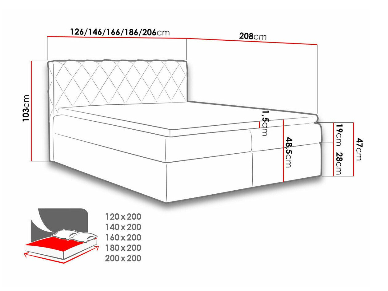 Boxspring Genus (Velluto 3)