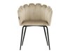 Stoel Dallas 134 (Beige + Zwart)