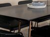 Eetkamerset Dallas 2720