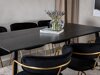 Eetkamerset Dallas 2580