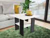 Table basse Reading 102 (Noir + Blanc)