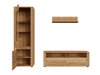 Set de living Sonciro 115