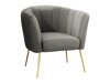 Fauteuil Orem 112 (Magic Velvet 2217)