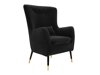 Fauteuil Orem 114 (Magic Velvet 2219)
