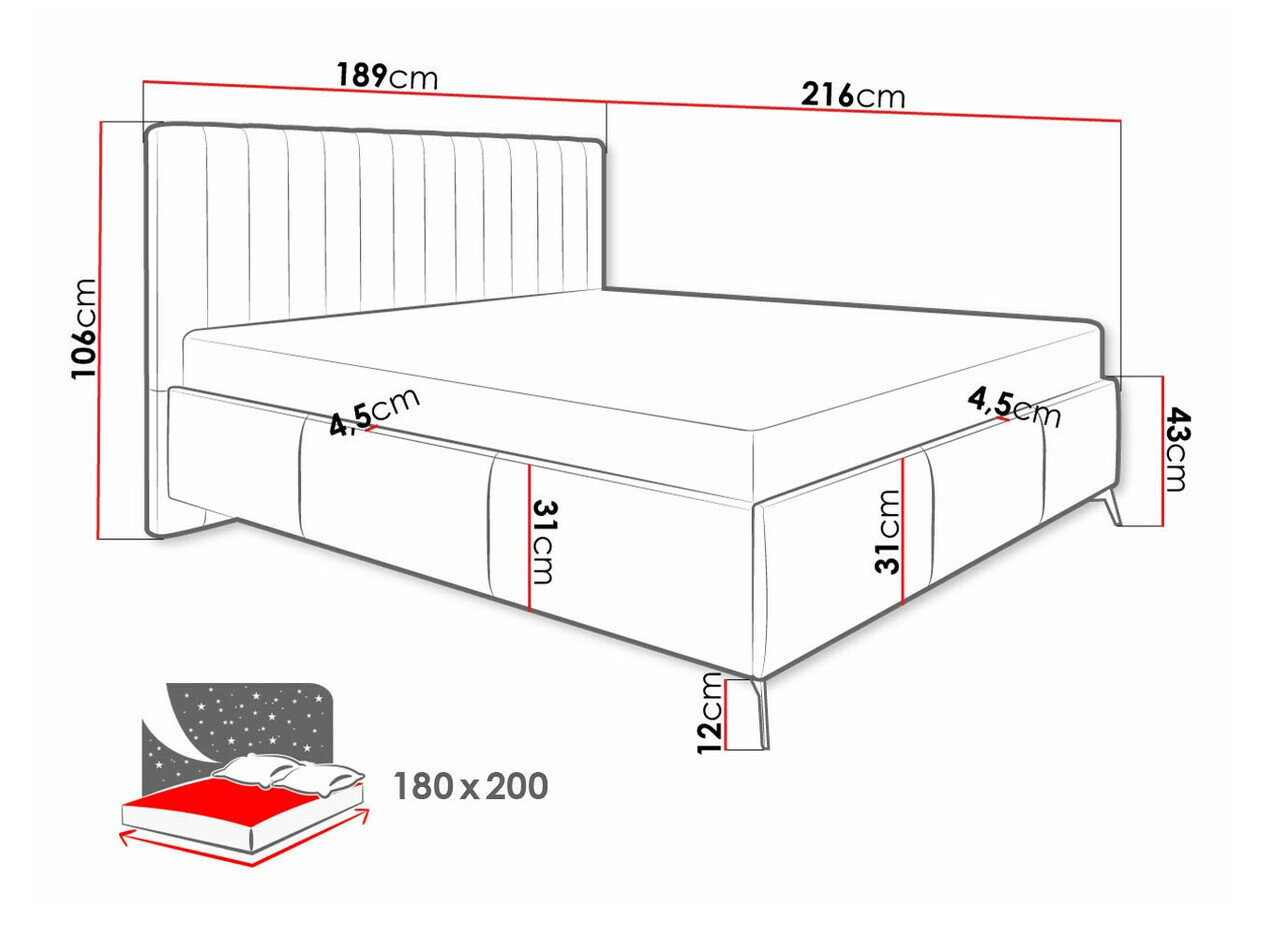 Seng ComfiDream 173 (Fresh 01)