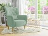 Fotel Orem 113 (Magic Velvet 2227)