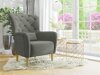 Fotelja Orem 113 (Magic Velvet 2217)