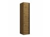 Kledingkast Pinis II (Artisan eiken + Zwart)