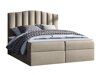 Boxspring Cantus (Casablanca 2303)