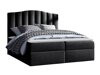 Boxspring Cantus (Casablanca 2316)