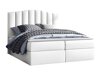 Boxspring Cantus (Soft 017)