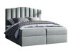 Cama continental Cantus (Casablanca 2314)