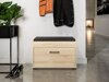 Schoenenkast Camtesu 102