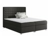 Boxspring Panis (Bristol 2458)