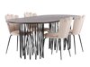 Eetkamerset Dallas 3905