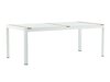 Tafel en stoelen set Dallas 3908