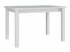Tafel Victorville 120 (Wit)