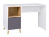 Bureau Domvera 113