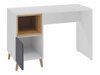 Bureau Domvera 113