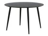 Eetkamerset Dallas 2542