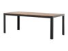 Tafel en stoelen set Dallas 2906