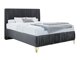 Pat Logan 112 (Amor Velvet 4321)