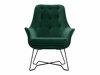 Fauteuil Kingston 135 (Velluto 10)