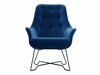 Fauteuil Kingston 135 (Velluto 25)