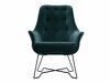 Fauteuil Kingston 135 (Velluto 27)