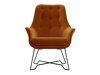 Fauteuil Kingston 135 (Velluto 33)