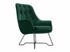 Fotel Kingston 135 (Velluto 10)