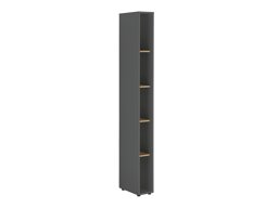 Boekenkast Elbsori 105 (Antraciet + Wotan eik)
