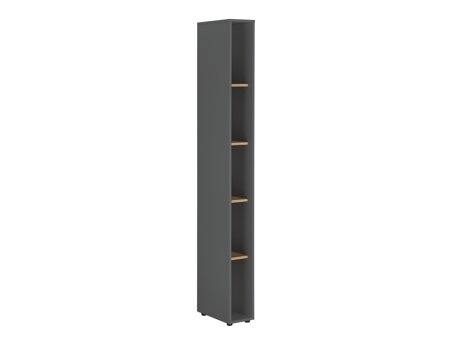 Boekenkast Elbsori 105 (Antraciet + Wotan eik)