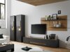 TV-bord Elbsori 116 (Antracit + Wotan eg)