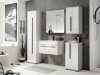 Wand badkamermeubel Torbelu 103