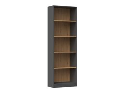 Riiul Mandeville 191 (Antratsiit)
